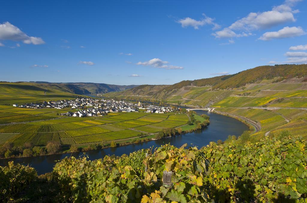 Wein & Gaestehaus Hermeshof Trittenheim Exterior foto